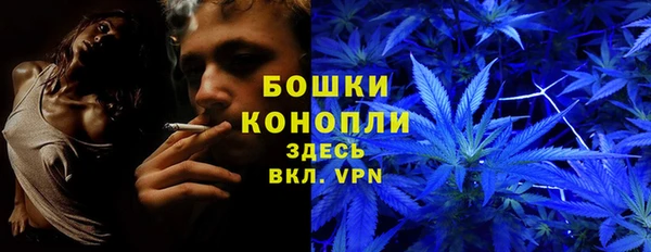 apvp Алексеевка