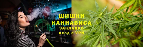 шишки Алексин